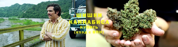 марихуана Белокуриха