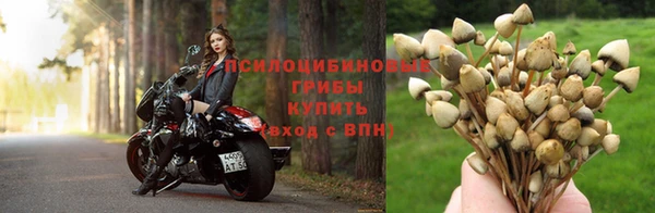 каннабис Беломорск