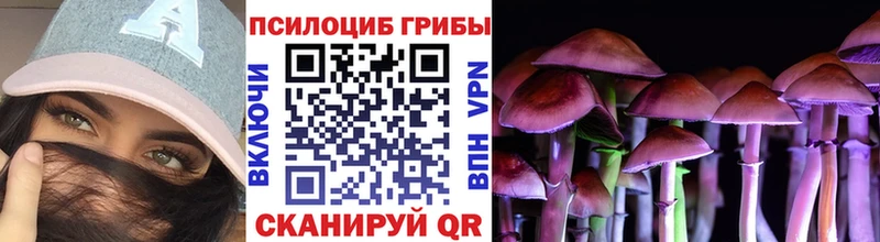 Галлюциногенные грибы прущие грибы  Верхний Уфалей 